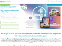 netfort.hu Webseite Vorschau