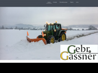 gebr-gassner.ch Webseite Vorschau