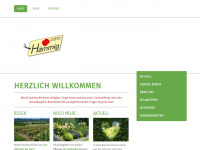 rosenshop-haemmig.ch Webseite Vorschau
