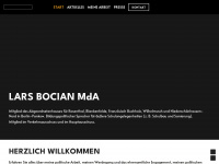 lars-bocian.de Webseite Vorschau