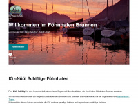 igf-brunnen.ch Webseite Vorschau