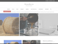 biznesbox.eu Webseite Vorschau