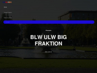 blw-ulw-big.de Webseite Vorschau