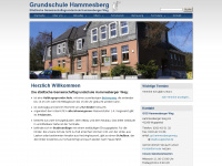 grundschule-hammesberg.de Webseite Vorschau