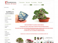 bonsaistudio.hu Webseite Vorschau