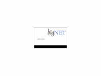 bignet.de Webseite Vorschau