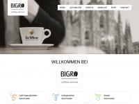 bigro.de Webseite Vorschau