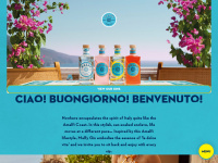 malfygin.com