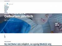 see-baby.ch Webseite Vorschau