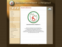 behindertenverband-ludwigslust.de Webseite Vorschau
