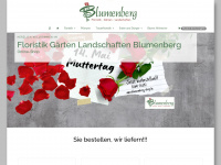 blumenberg-shop.de Webseite Vorschau