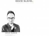 davidslavik.com Webseite Vorschau