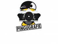 pingugrafie.de Webseite Vorschau