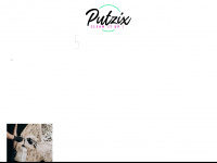putzix.de Webseite Vorschau