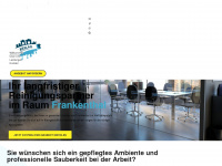 reinigung-frankenthal.de Webseite Vorschau