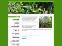 orchideen-moorpflanzen.de Webseite Vorschau