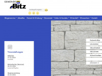 bitz.de Webseite Vorschau