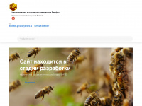 buckfastgroup.ru Webseite Vorschau