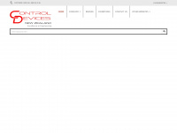 controldevices.co.nz Webseite Vorschau