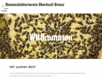 bzvob.ch Webseite Vorschau
