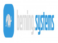 berning-systems.de Webseite Vorschau