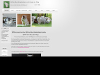 britischkurzhaarkatzen.de Webseite Vorschau