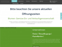 blumengrossmarkt-ulm.de Webseite Vorschau