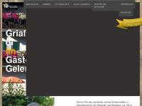 gaestehaus-geier.at Webseite Vorschau