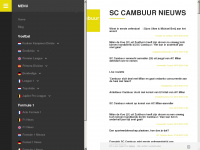 cambuurnieuws.nl Webseite Vorschau