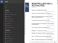 mercatomhsc.fr Webseite Vorschau