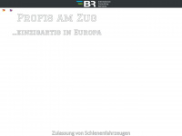 br-ics.com Webseite Vorschau