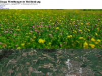 stopp-westtangente-weissenburg.de Webseite Vorschau