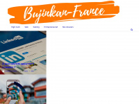 bujinkan-france.net Webseite Vorschau