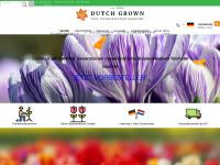 dutchgrown.de Webseite Vorschau