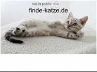 finde-katze.de Webseite Vorschau