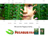thepegasusfamily.com Webseite Vorschau