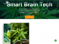 smartbraintech.com Webseite Vorschau
