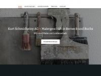 malerschmidheinyag.ch Webseite Vorschau