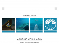 sharkallies.org Webseite Vorschau