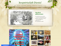 duerstel.ch Webseite Vorschau