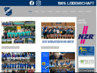 svbadlaer-volleyball.de Webseite Vorschau
