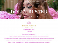 dollybuster-hortensie.de Webseite Vorschau