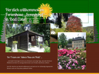 ferienhaus-sonnenhof-bad-elster.de Webseite Vorschau
