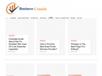 businesscrunch.net Webseite Vorschau