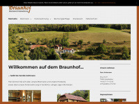 braunhof.de Webseite Vorschau