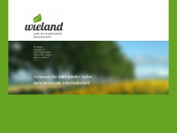 wieland-servicetechnik.de Webseite Vorschau