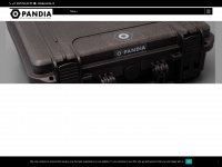 pandia.ch Webseite Vorschau