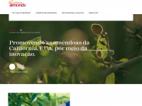 amendoas.com.br Webseite Vorschau