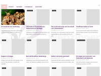 webzinner.nl Webseite Vorschau