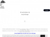 phoenix-enzymreiniger.com Webseite Vorschau